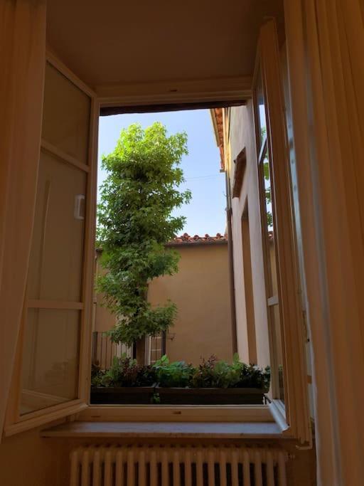 Via Nuova Apartments 卢卡 外观 照片